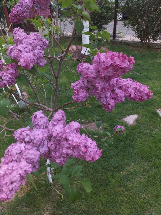 Kesta Za Gosti Gradina Vila Aheloy Exterior foto