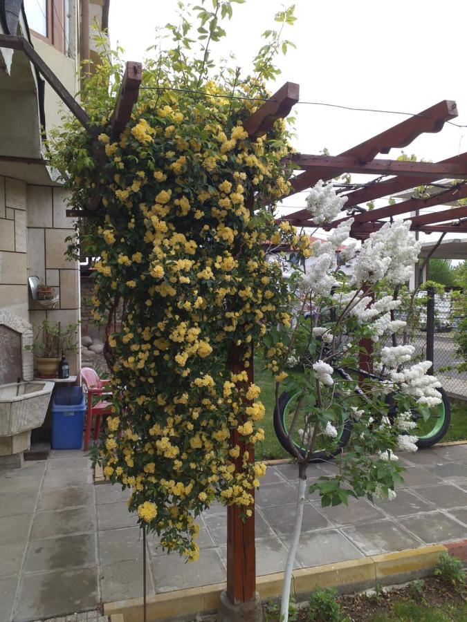 Kesta Za Gosti Gradina Vila Aheloy Exterior foto